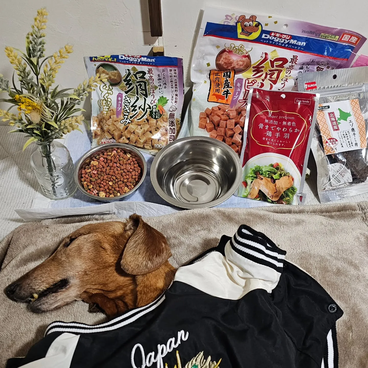 電気ですかーっ!