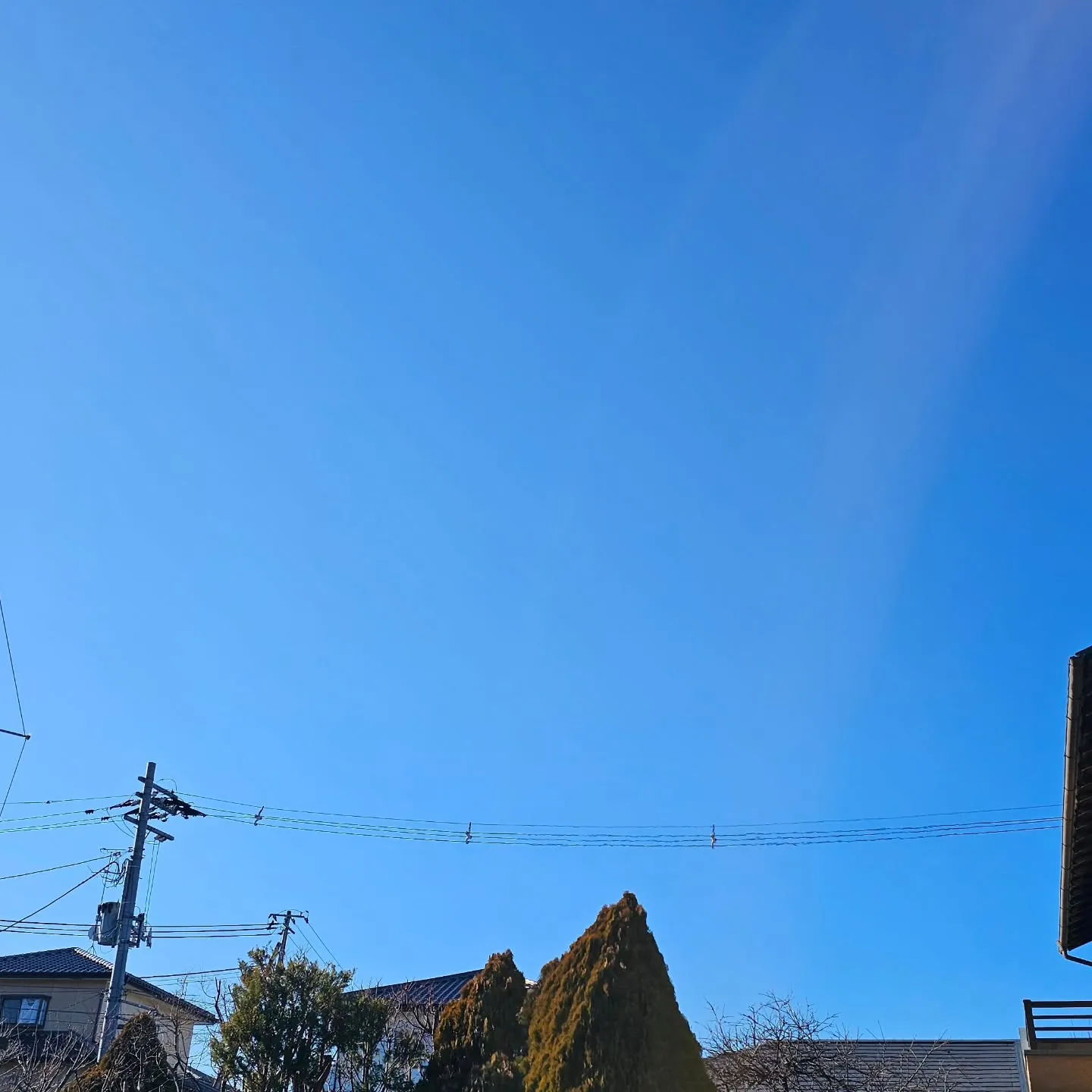 電気ですかーっ!