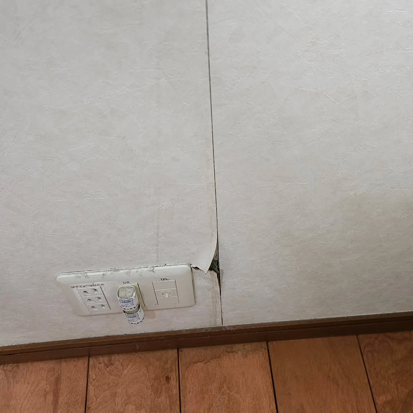 電気ですかーっ!