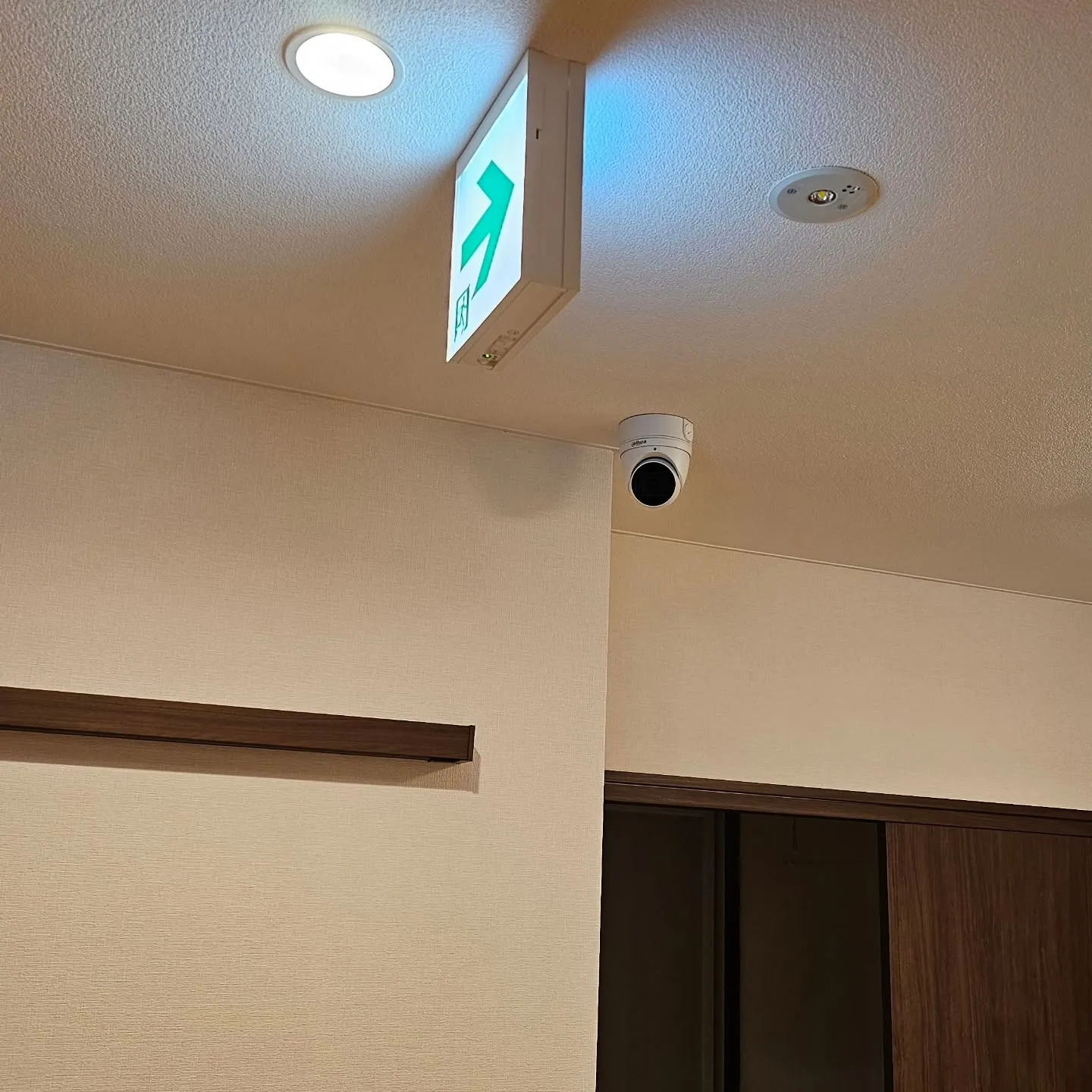 電気ですかーっ!