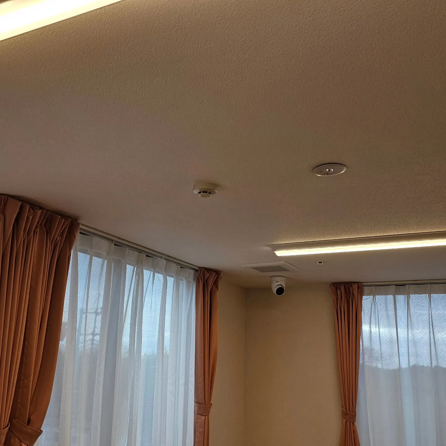 電気ですかーっ!