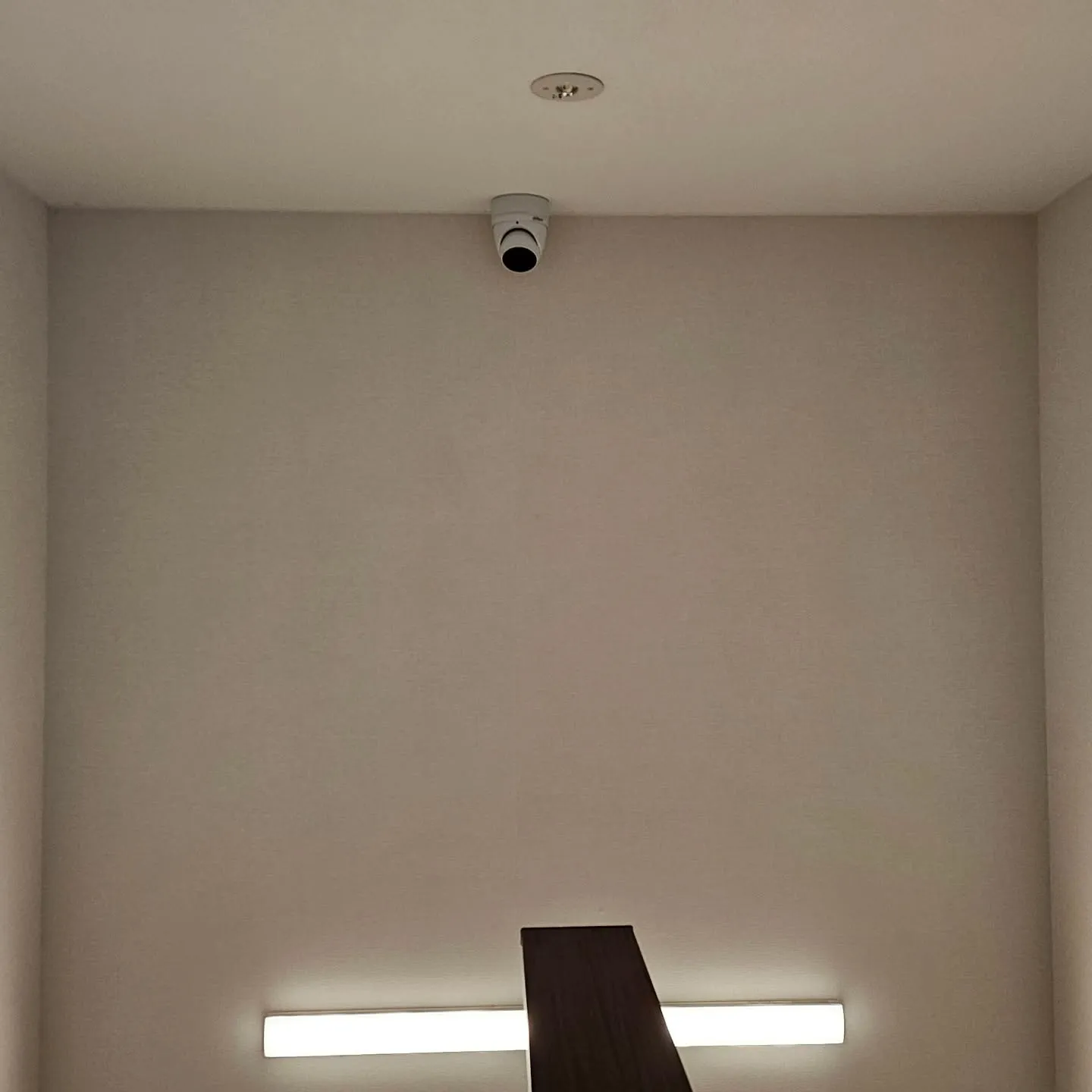 電気ですかーっ!