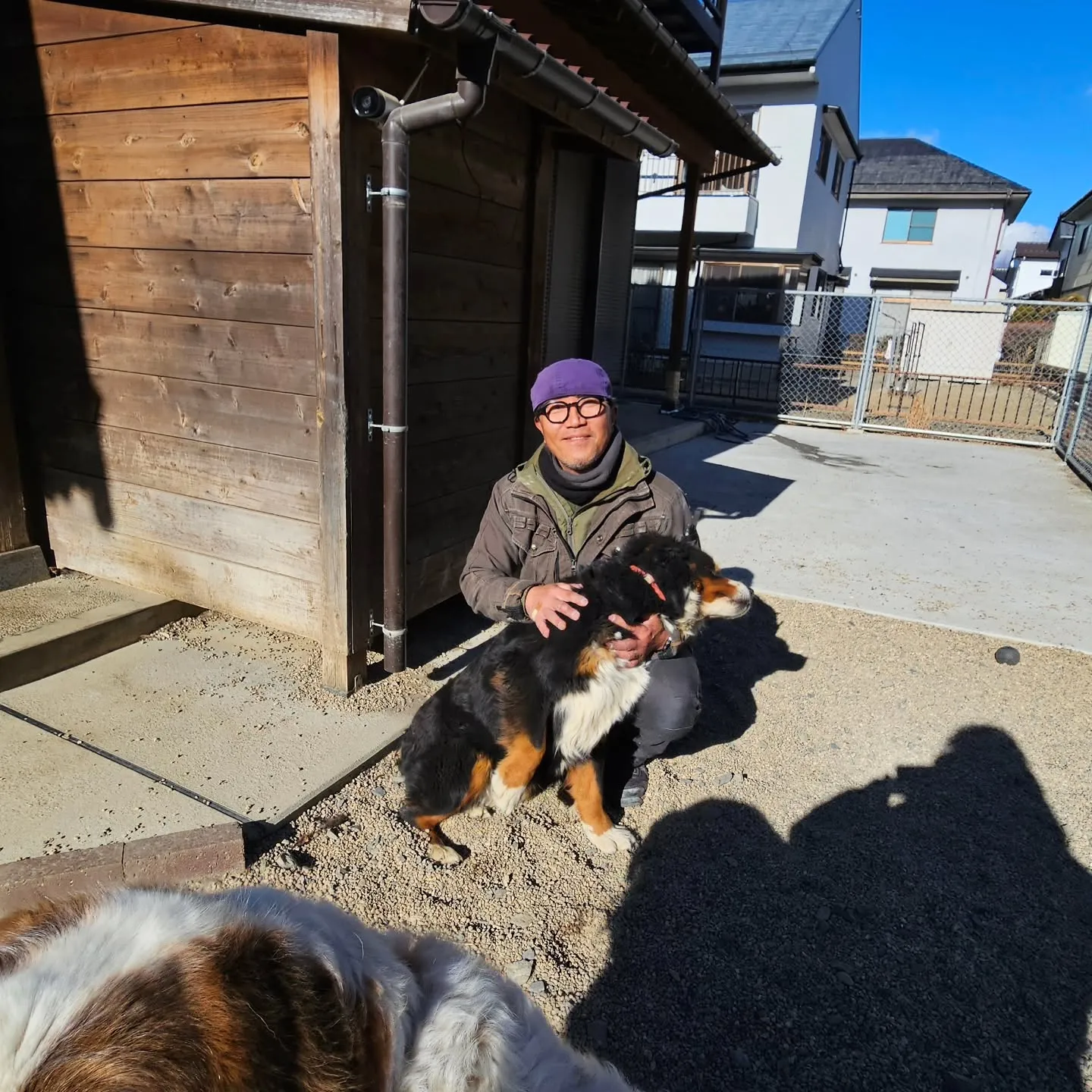 電気ですかーっ!