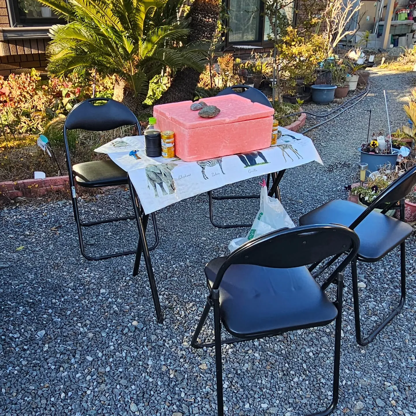 電気ですかーっ!