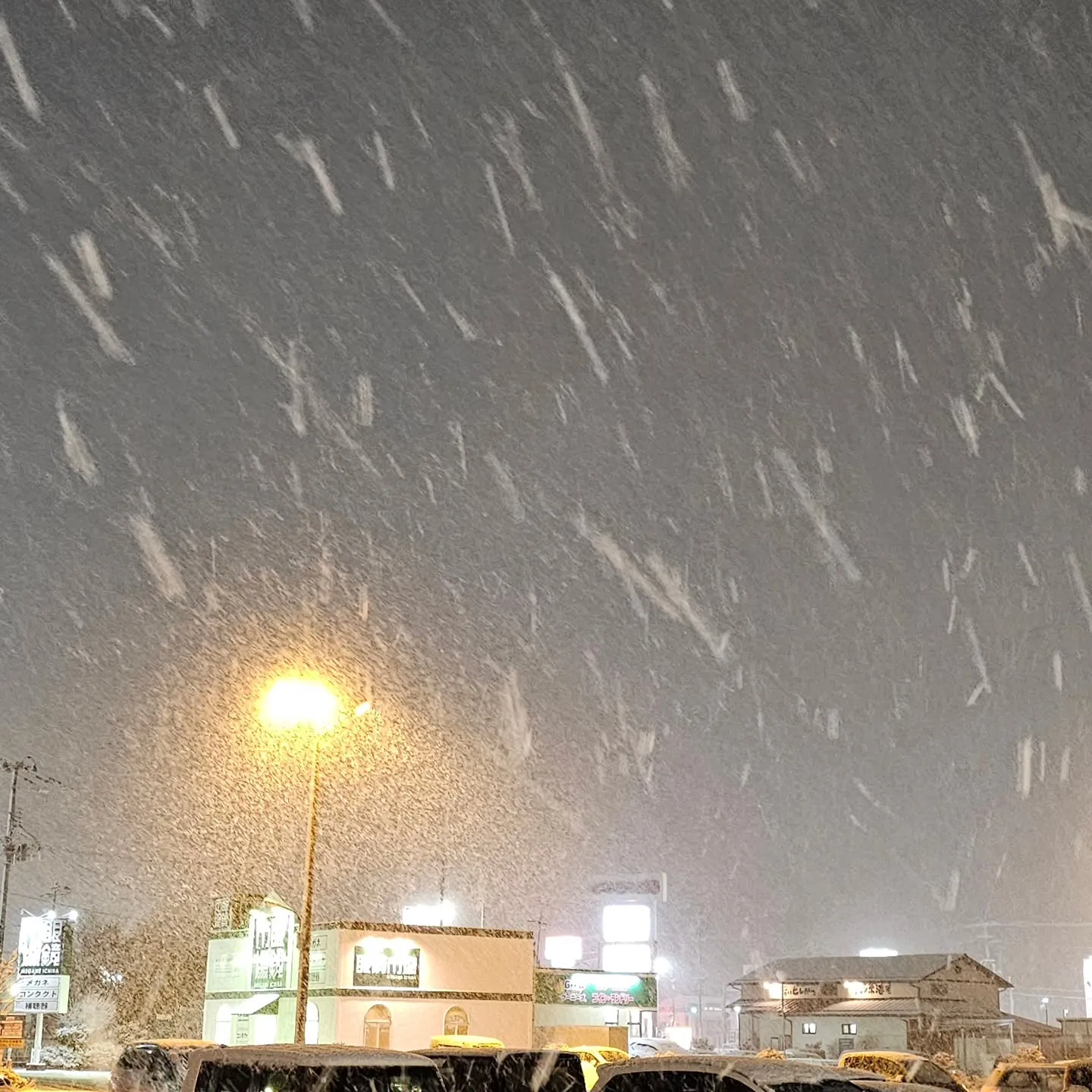 電気ですかーっ!