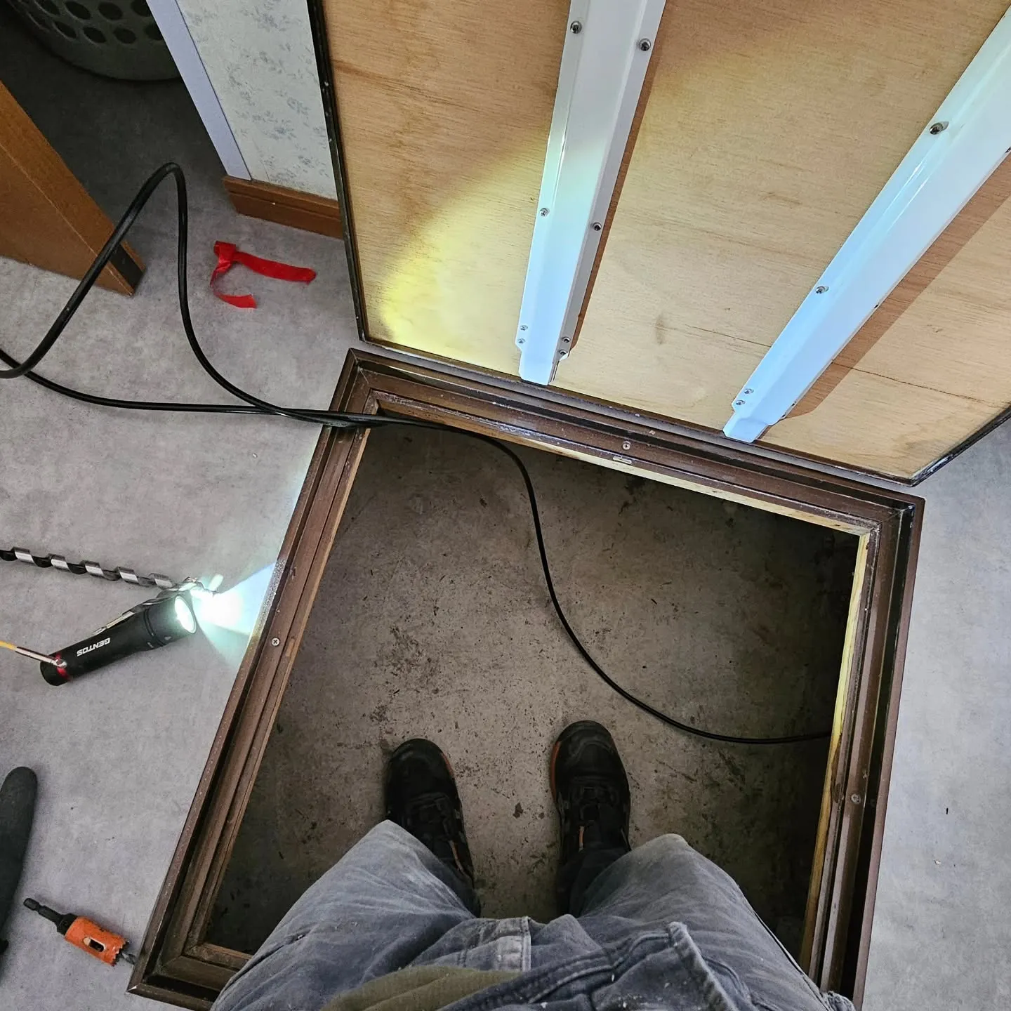 電気ですかーっ!