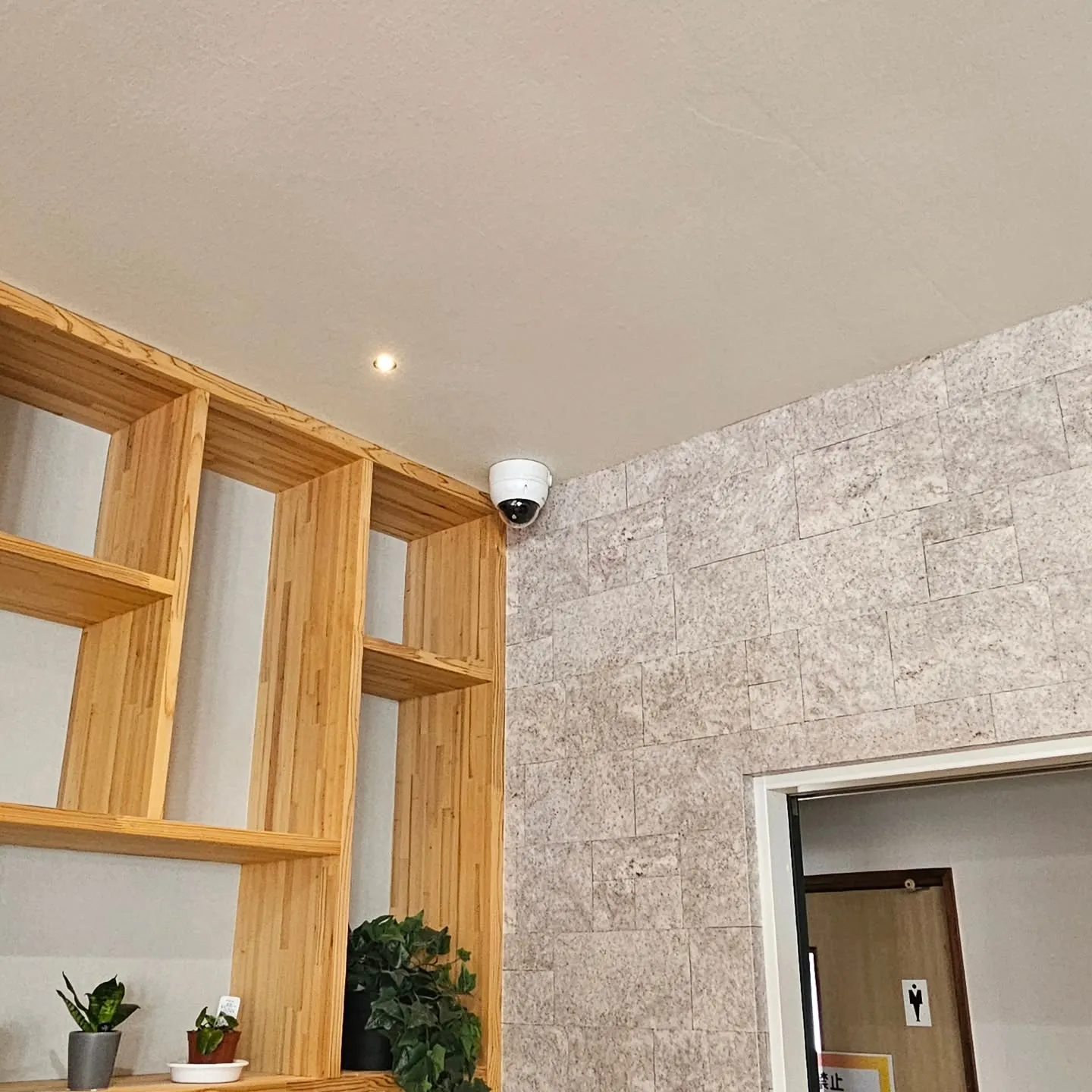 電気ですかーっ!