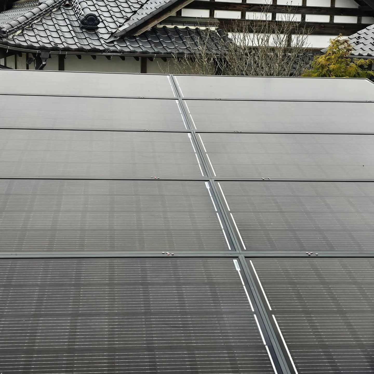 電気ですかーっ!