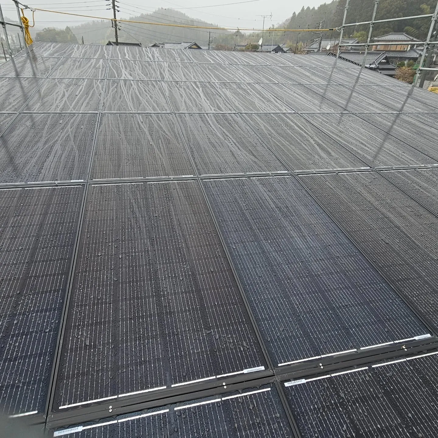 電気ですかーっ!