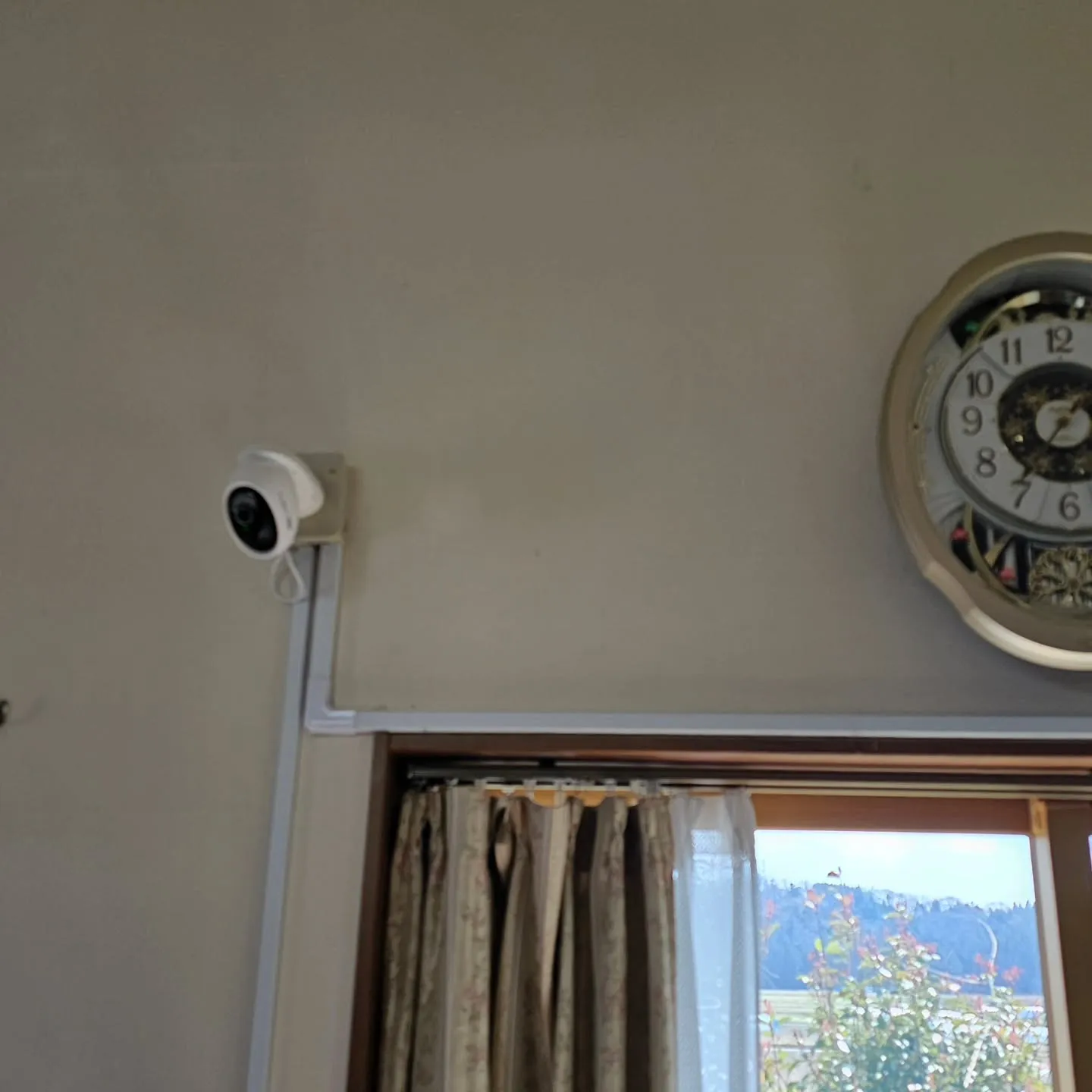 電気ですかーっ!