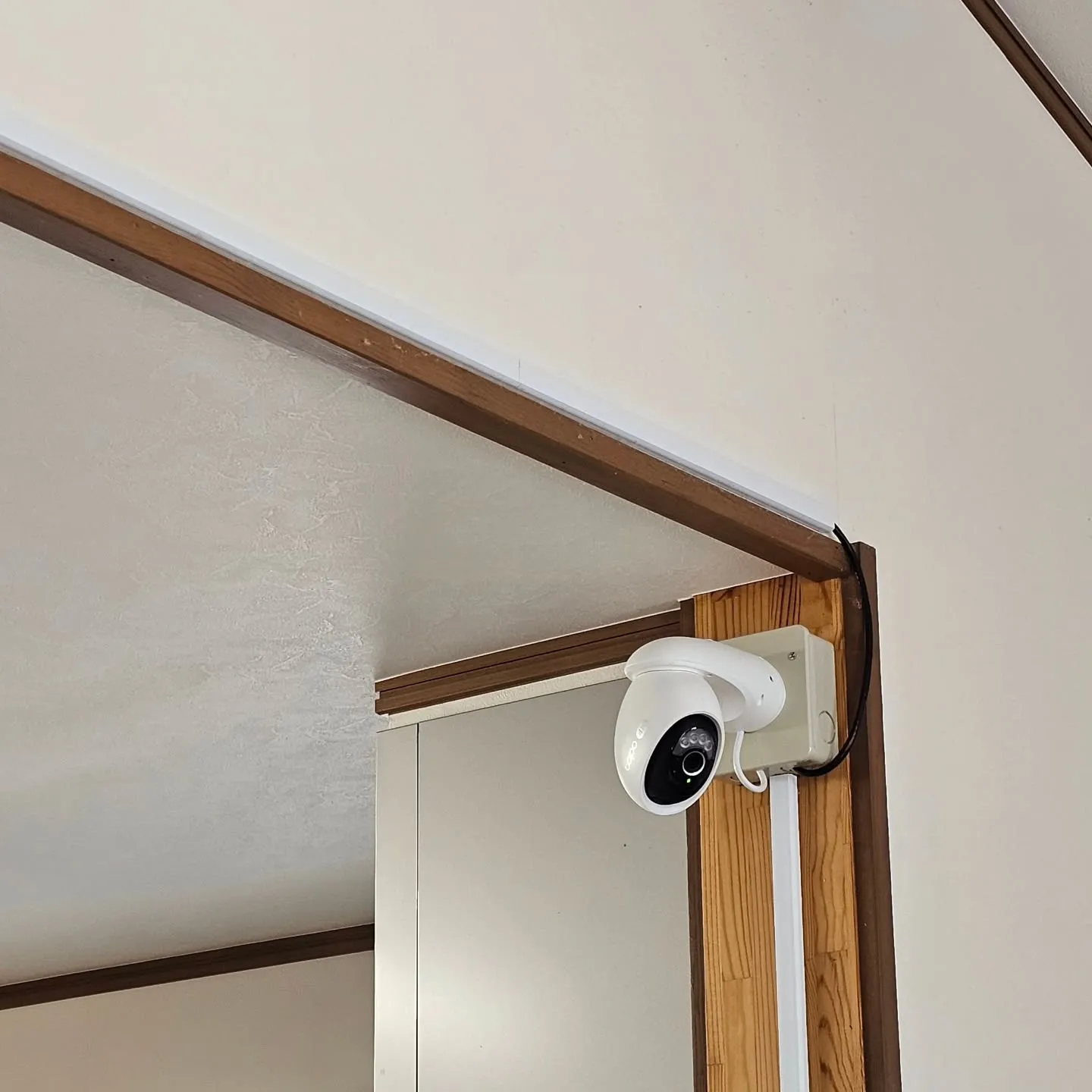 電気ですかーっ!