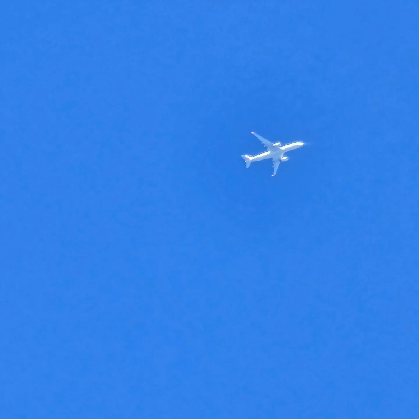 電気ですかーっ!