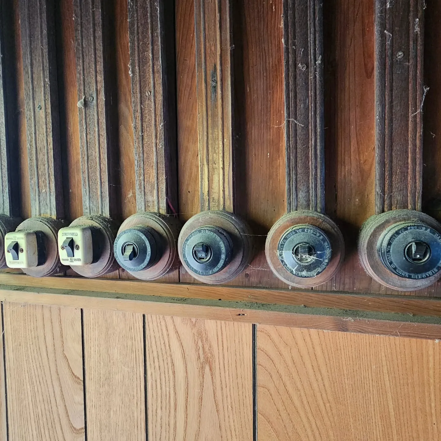 電気ですかーっ!