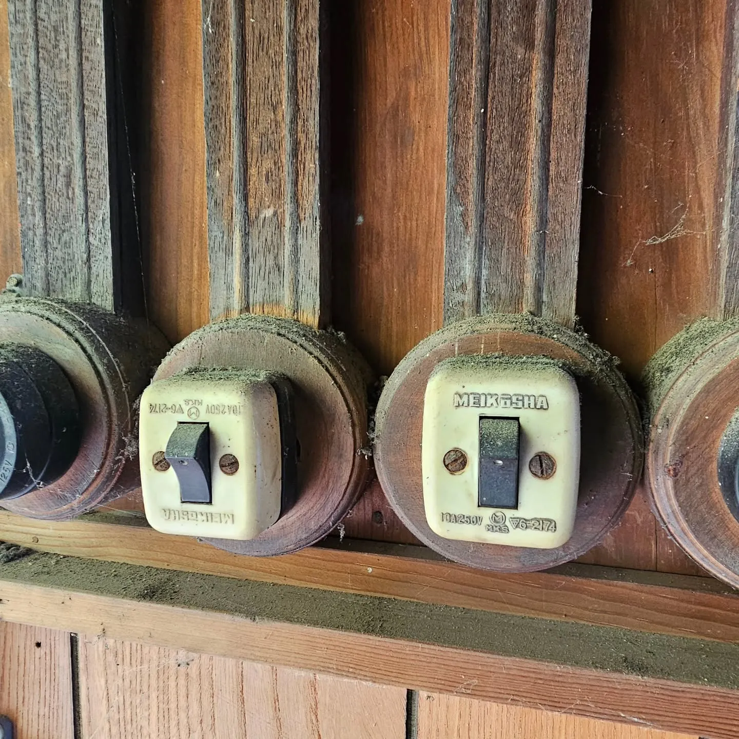 電気ですかーっ!