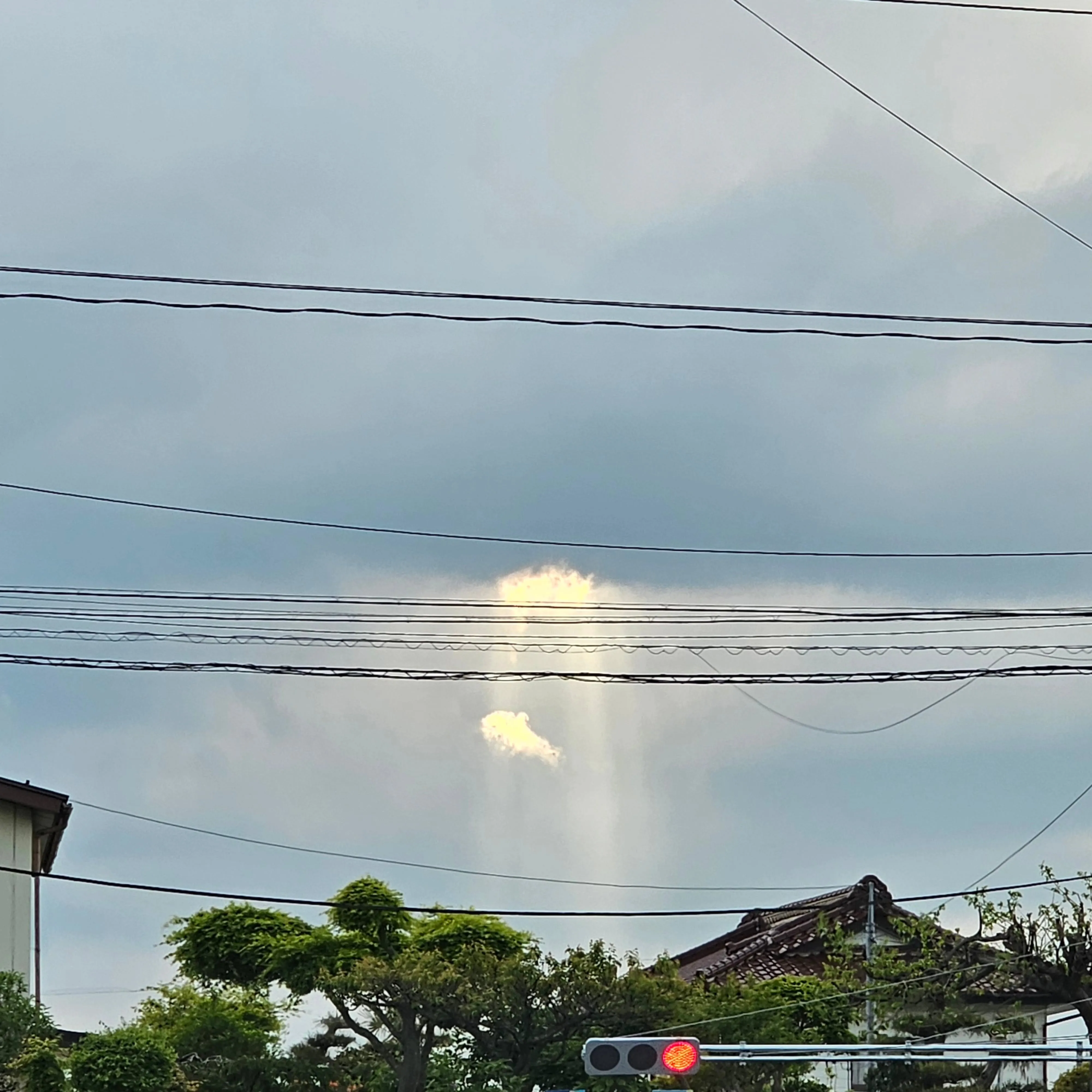 電気ですかーっ!