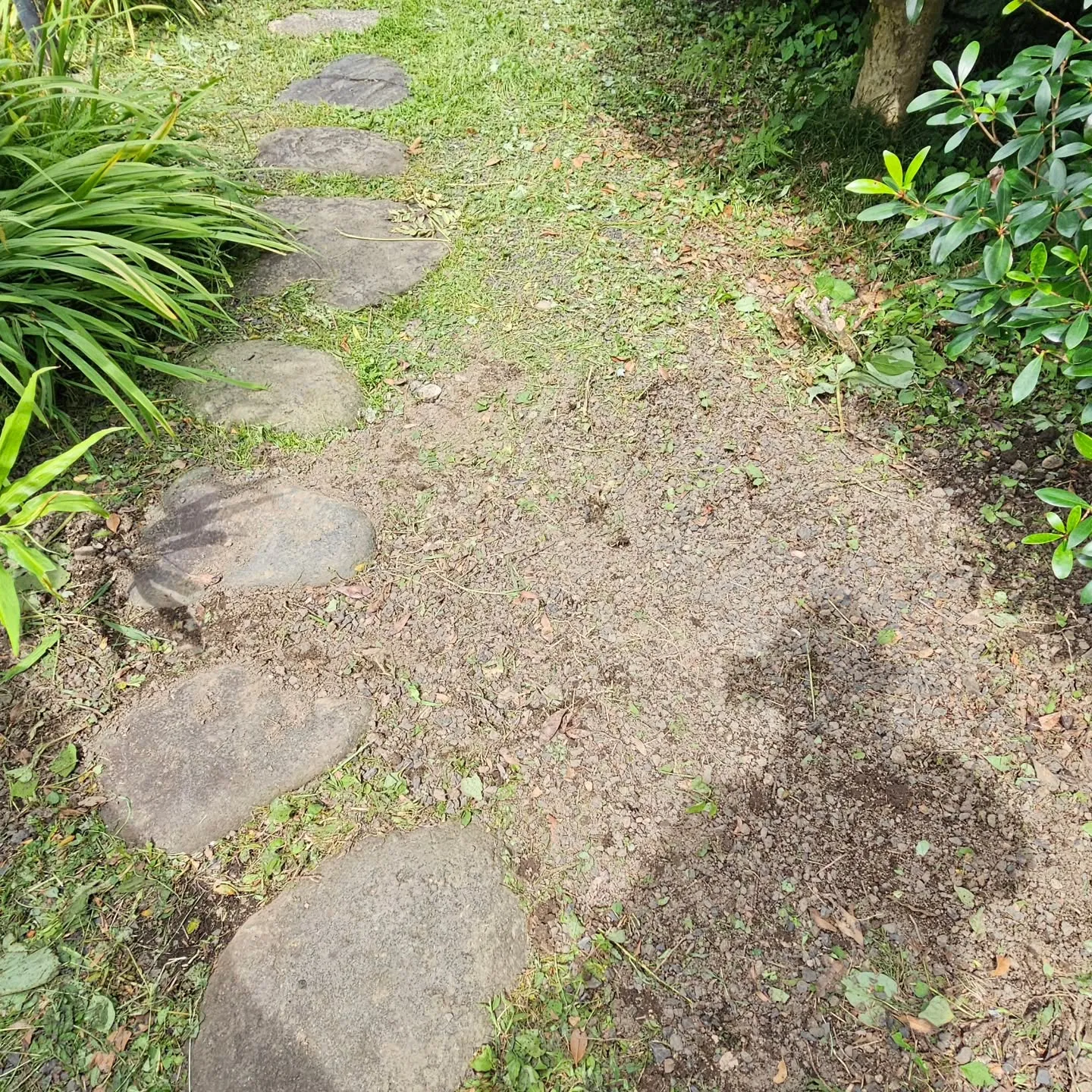 電気ですかー!  防犯カメラの移設工事