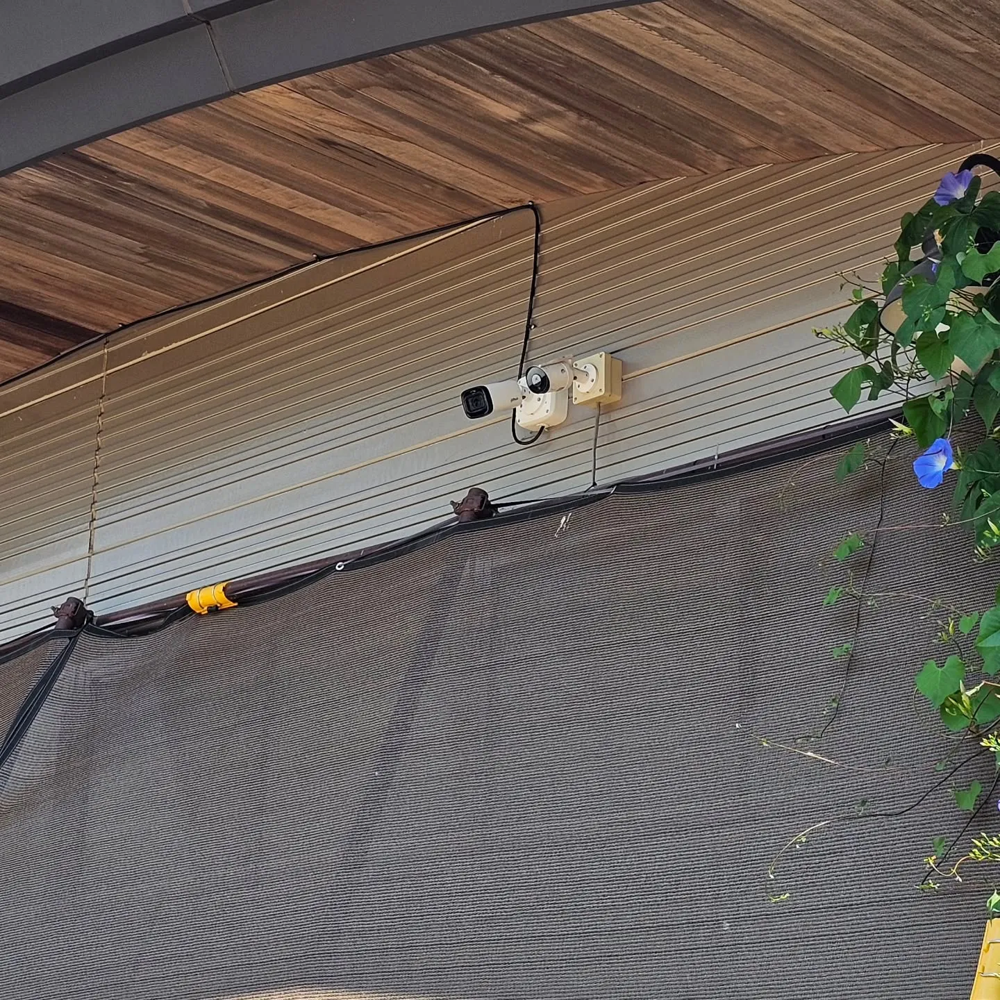 電気ですかー!  防犯カメラ取り付け